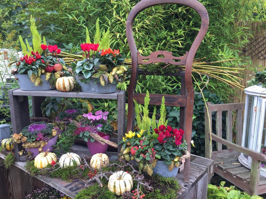 Pflanzschalen der Berliner Blume mit roten Blüten und herbstlicher Dekoration